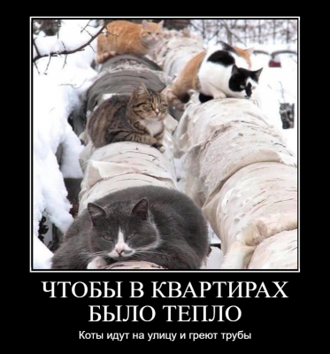 Прикрепленное изображение: dem_6022e965a3d12.png